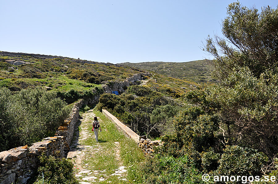 The the walk to Ancient Arkesini starts from here, and also a trek to the south of Amorgos, you can go all the way to Kalotaritissa, via Arkesini and Kolofana.